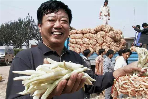 一分快三技巧_人均一分地